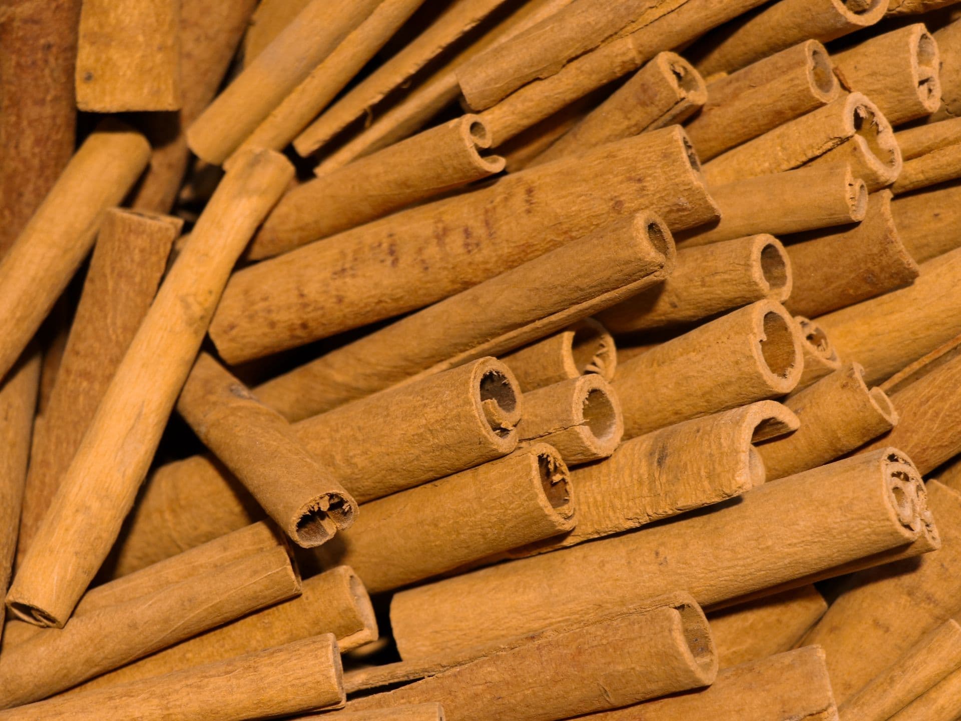Close view of dried cinnamon quills showing bark texture