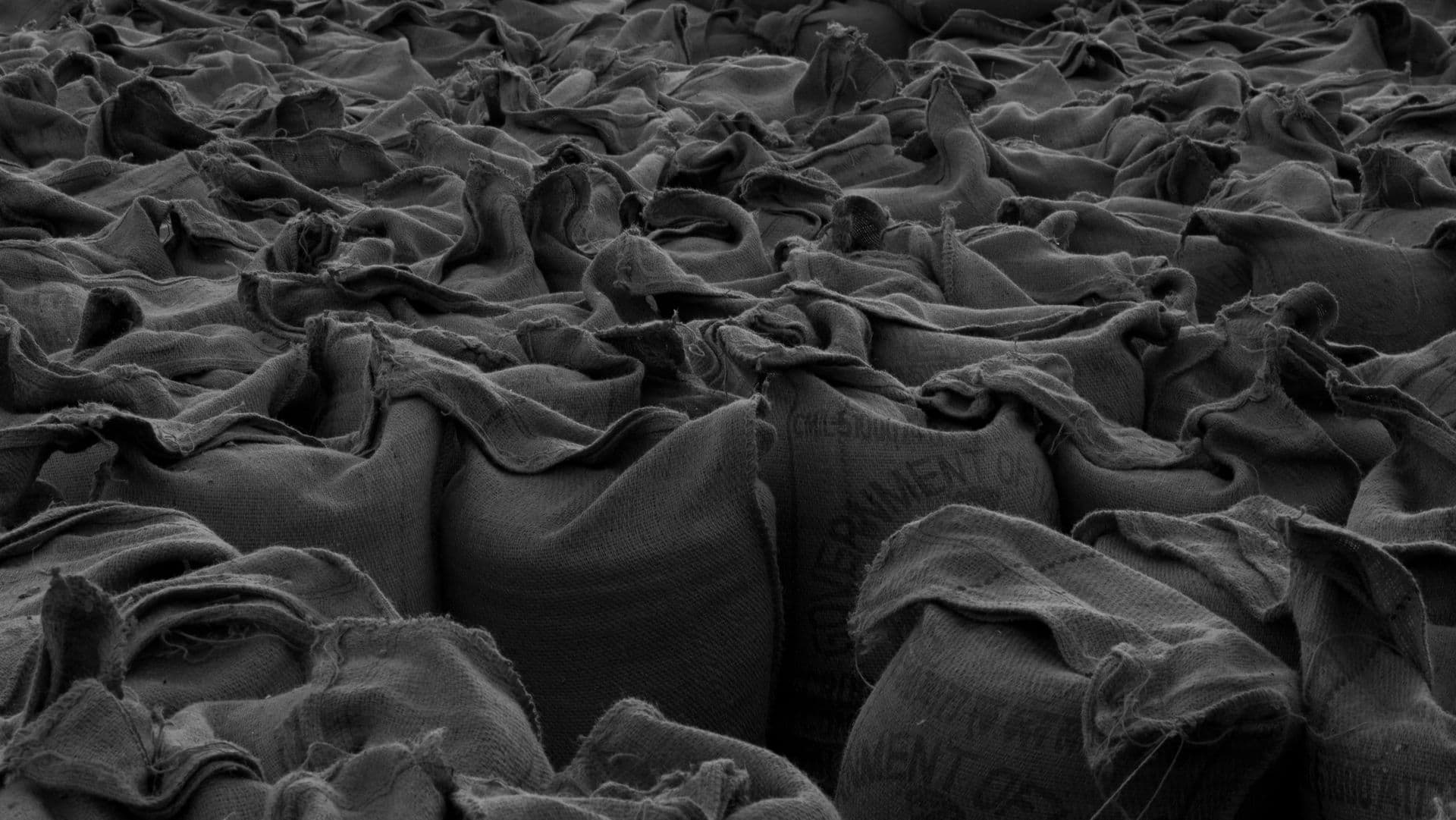 Tightly packed burlap sacks stacked in rows, photographed in monochrome