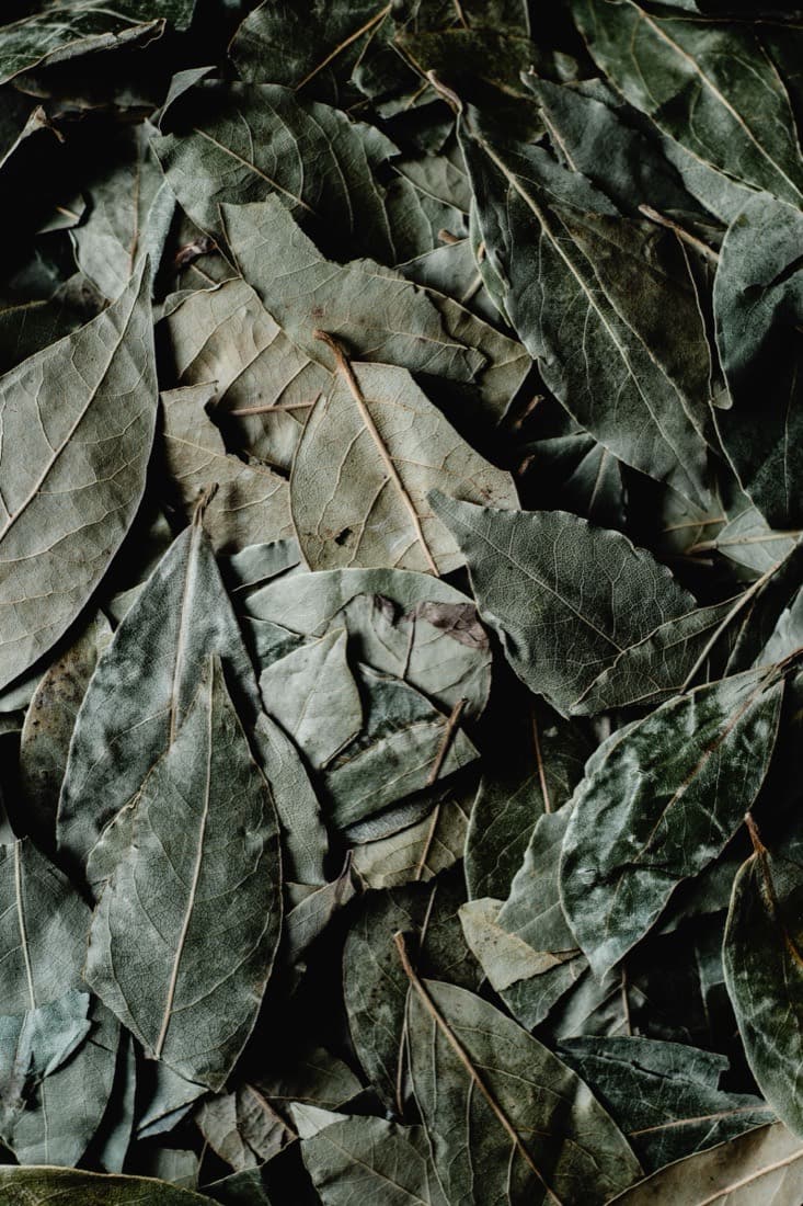 Dried bay leaves layered in a dense pile