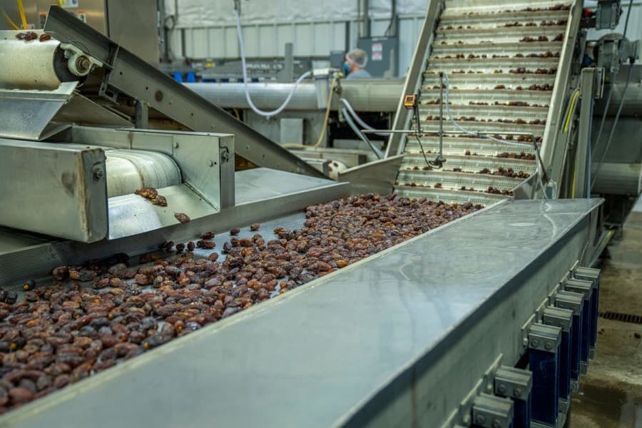 Dried material spread across a stainless grading line