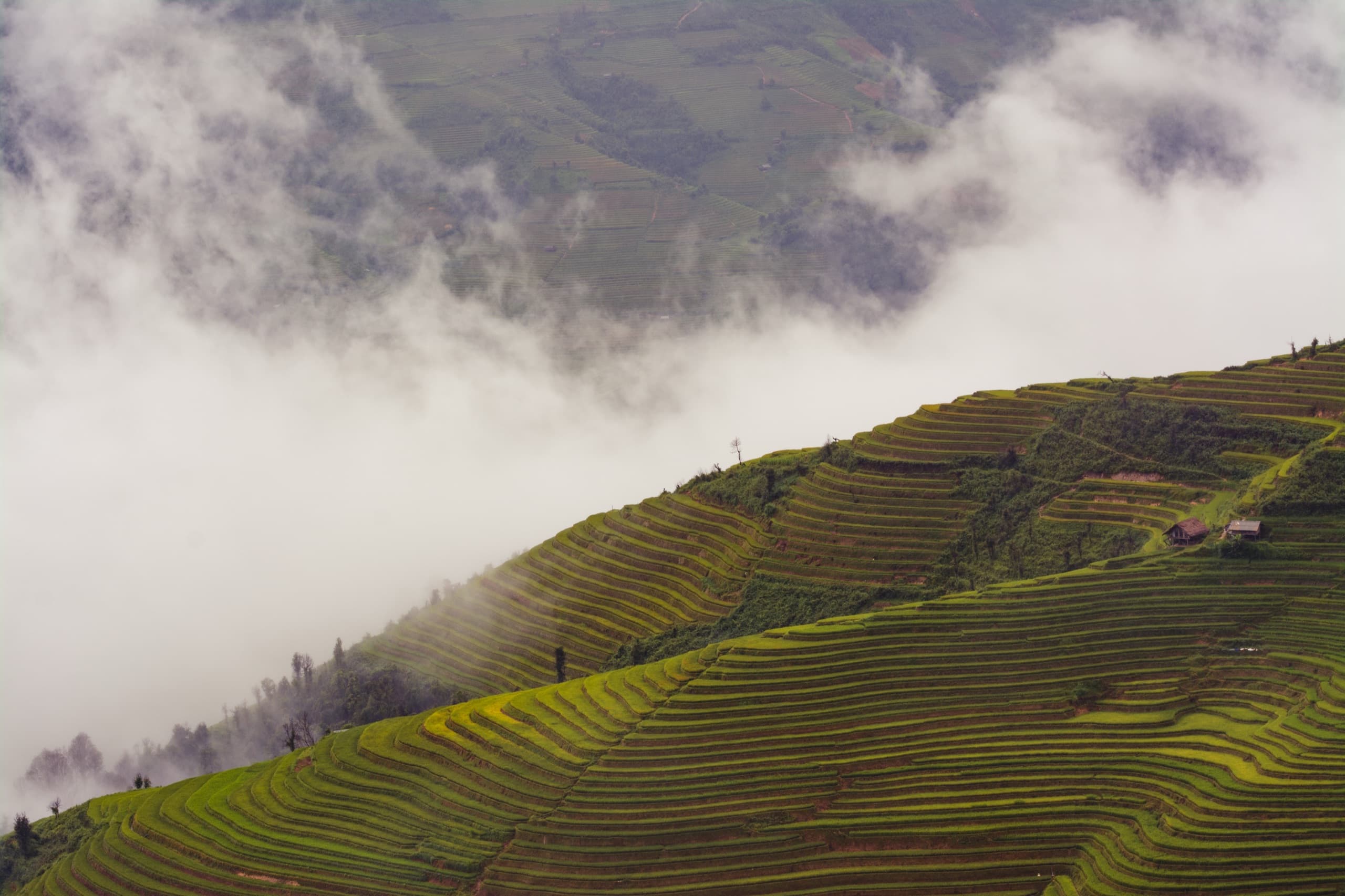 Terraced fields curving around a hillside at La Pán Tẩn, with low cloud across the valley