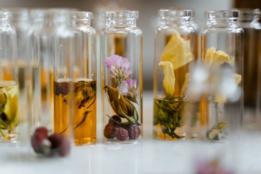 Glass vials of botanical extract with flowers and fruit suspended in them